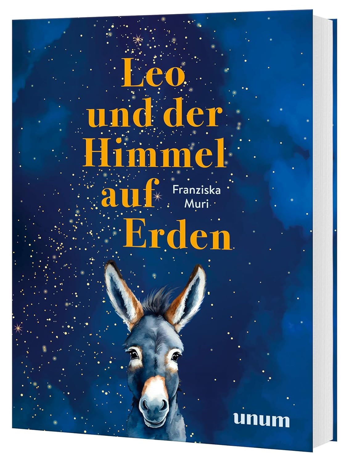 Selbstfürsorge von Franziska Muri